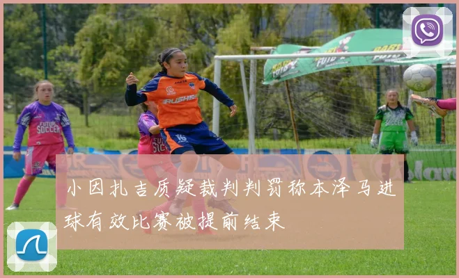 小因扎吉质疑裁判判罚称本泽马进球有效比赛被提前结束